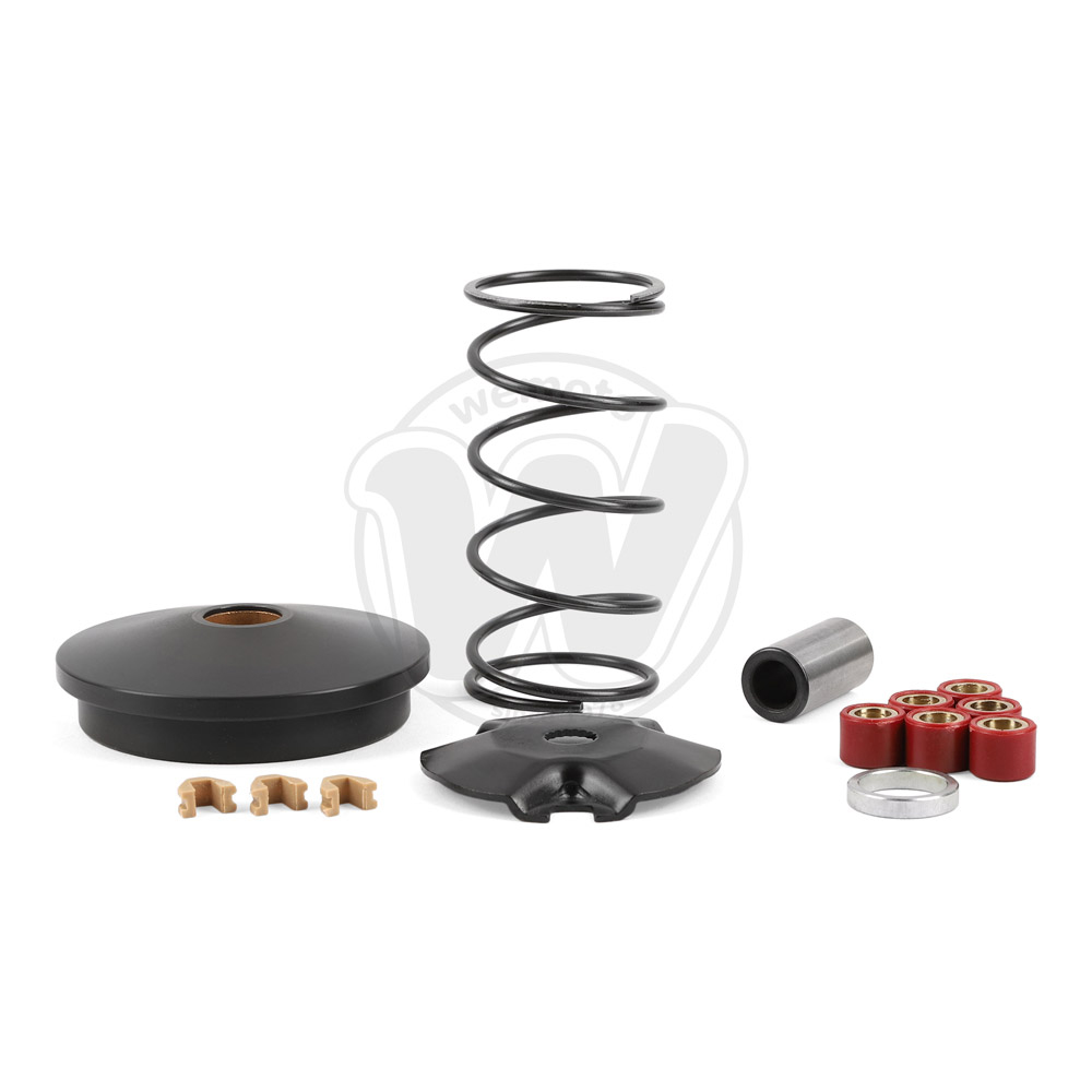 Kit Completo Variatore - Racing